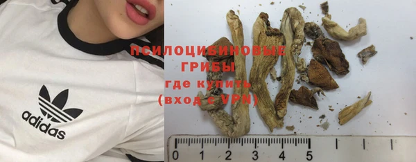 скорость Аркадак