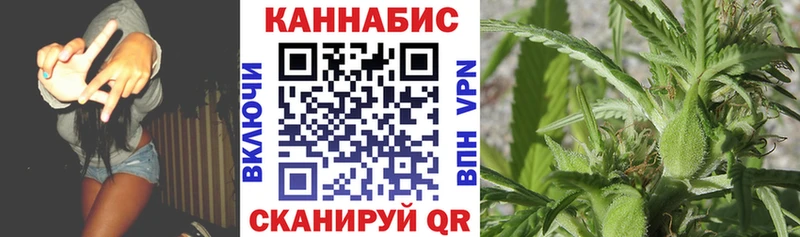 купить закладку  mega ссылка  Шишки марихуана White Widow  Рыльск 